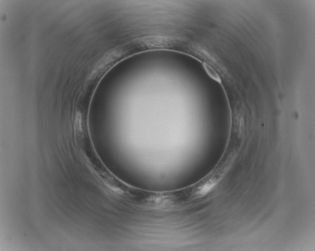 X0000071960117200607071502