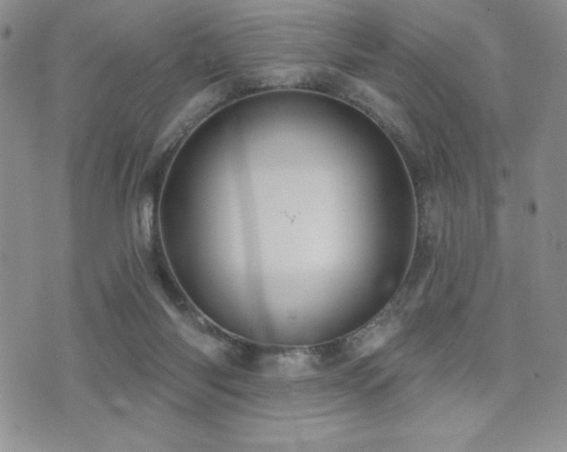 X0000071960118200607071502