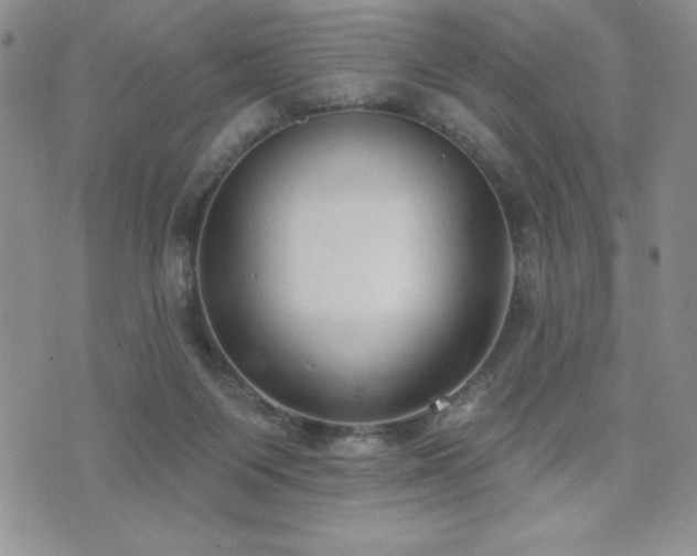 X0000071960119200607071502