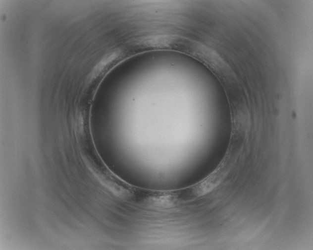 X0000071960120200607071502