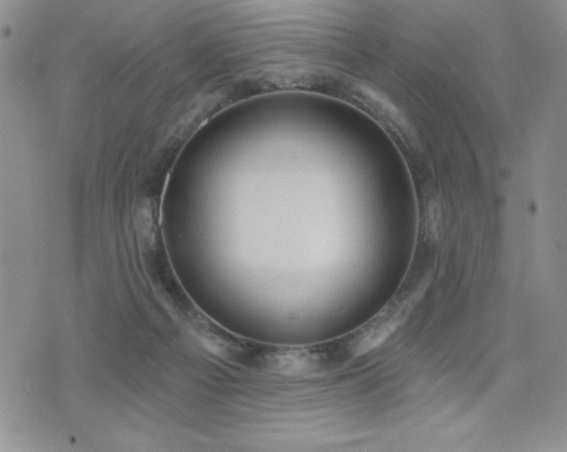 X0000071960121200607071502