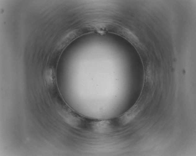 X0000071960122200607071502