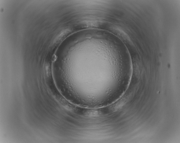 X0000071960123200607071502