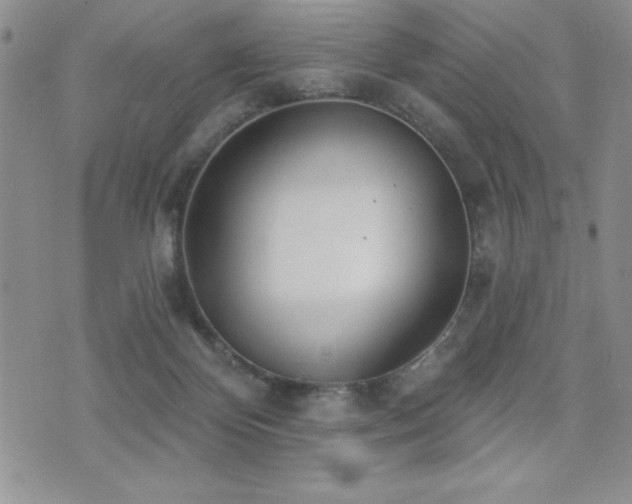 X0000071960124200607071502