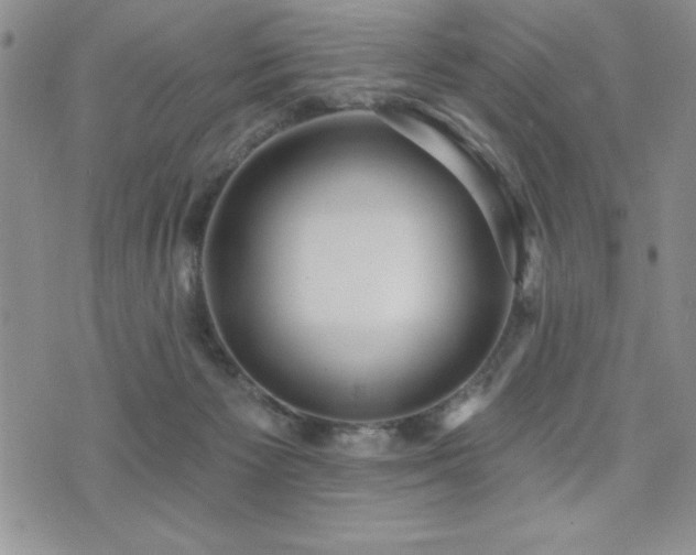 X0000071960125200607071502