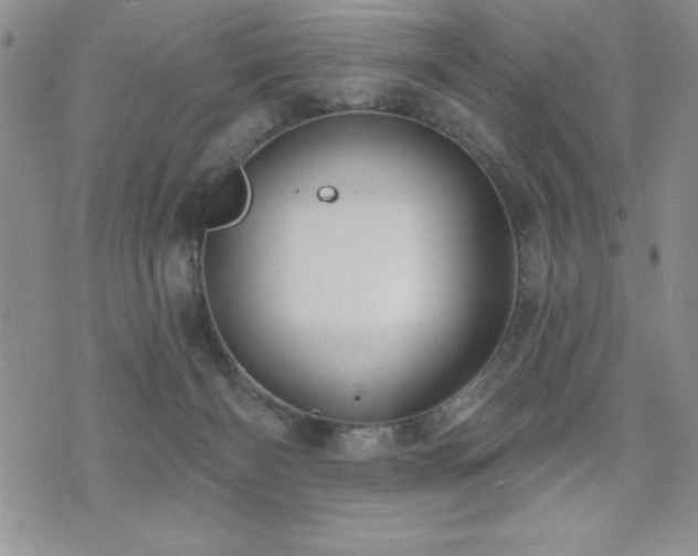 X0000071960126200607071502