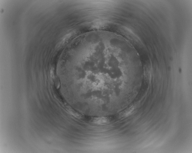 X0000071960127200607071502