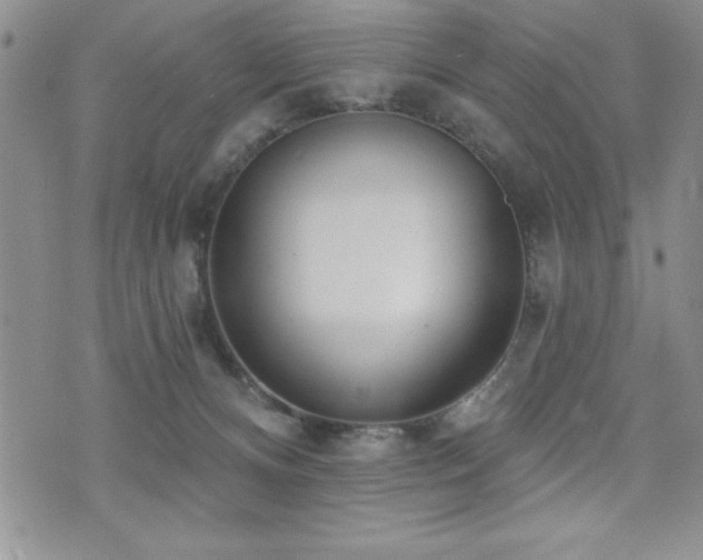 X0000071960128200607071502