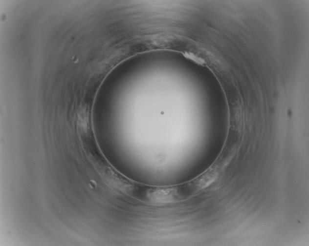 X0000071960129200607071502