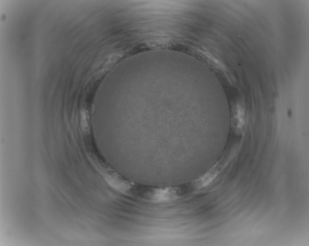 X0000071960130200607071502