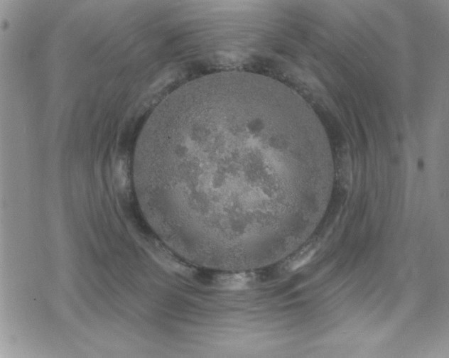 X0000071960131200607071502