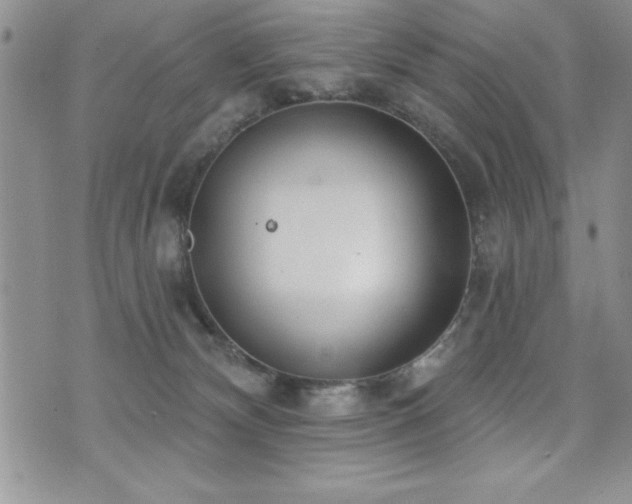 X0000071960132200607071502