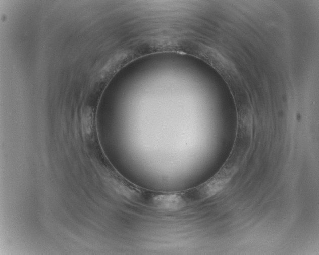 X0000071960133200607071502