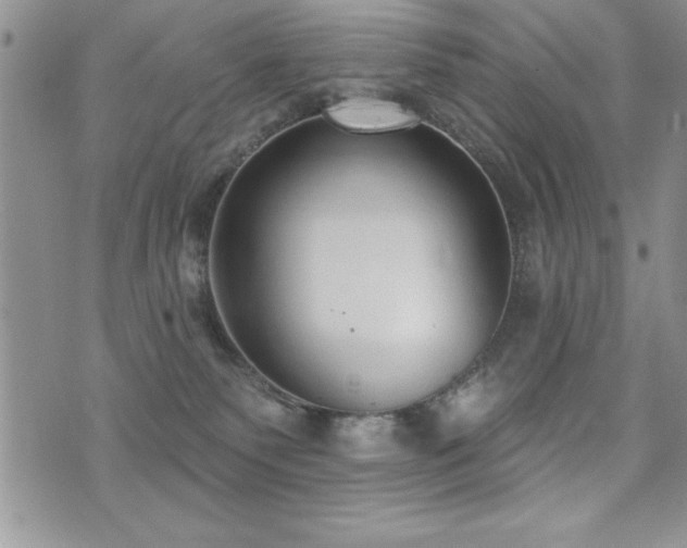 X0000071960135200607071502