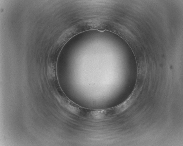 X0000071960136200607071502