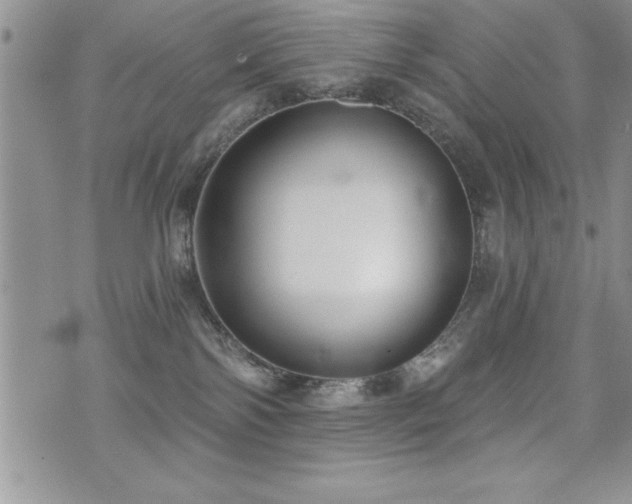 X0000071960138200607071502