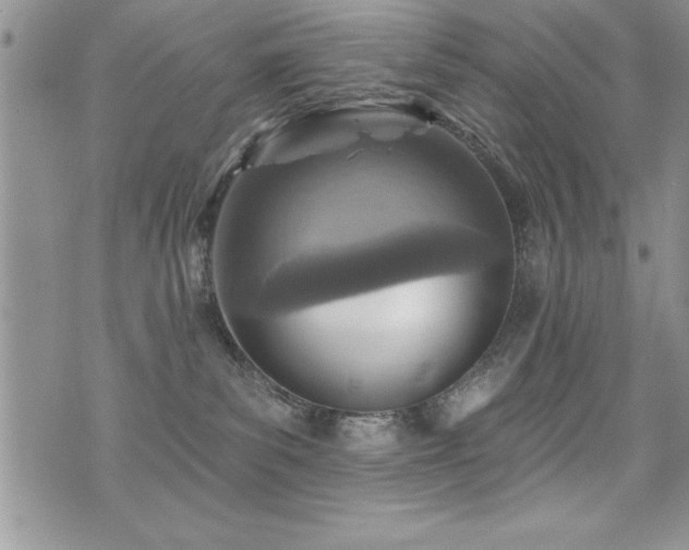 X0000071960139200607071502