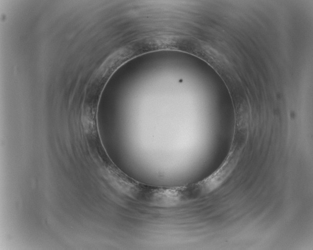 X0000071960140200607071502