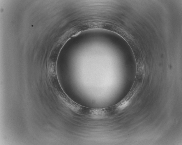 X0000071960141200607071502