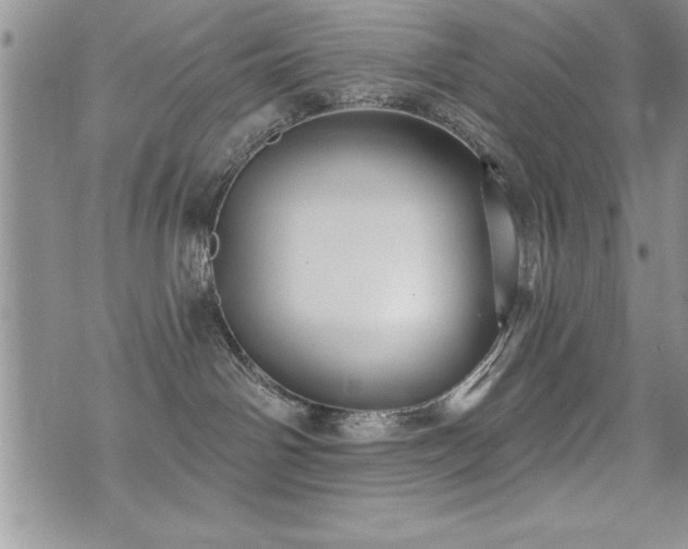 X0000071960142200607071502