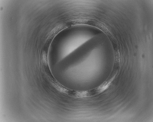 X0000071960143200607071502