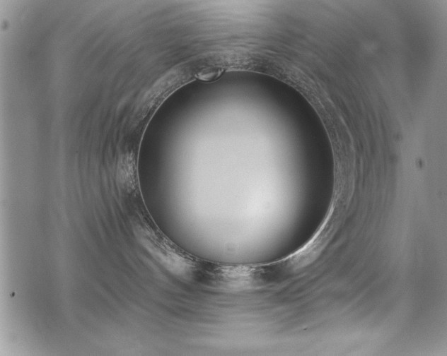 X0000071960144200607071502