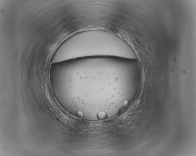 X0000071960145200607071501