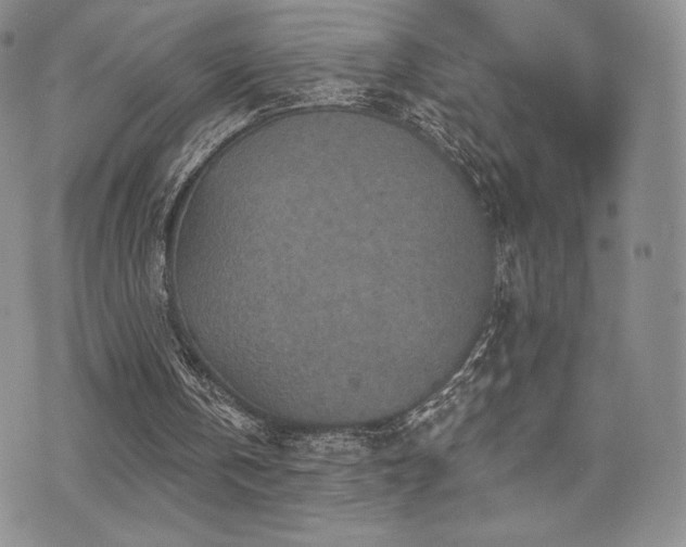 X0000071960146200607071501