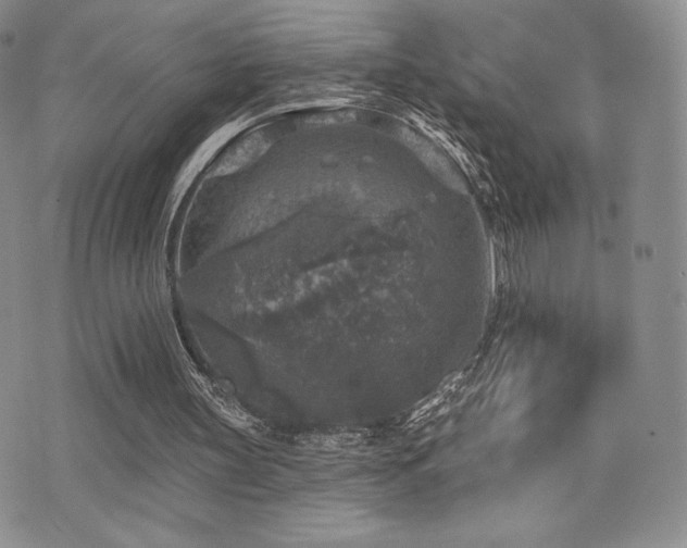 X0000071960147200607071501