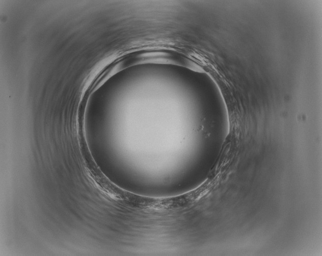 X0000071960148200607071501