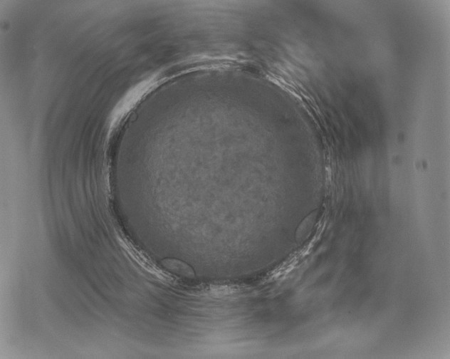 X0000071960149200607071501