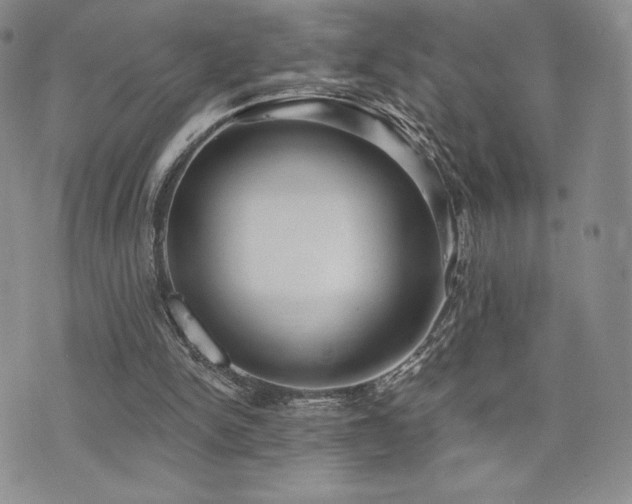 X0000071960150200607071501