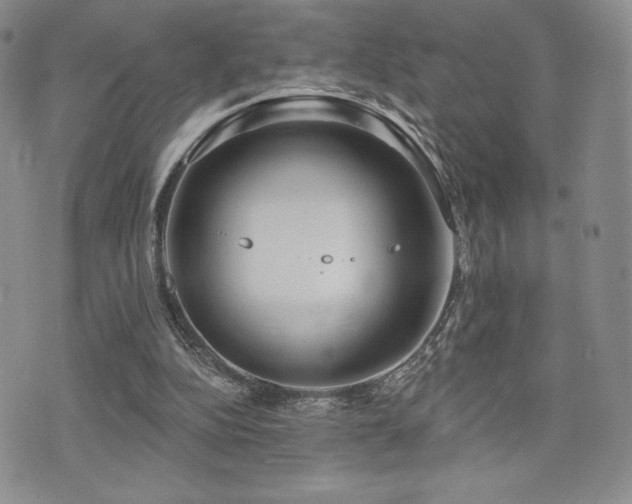 X0000071960152200607071501