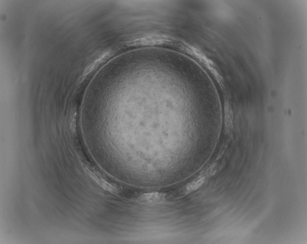 X0000071960153200607071501