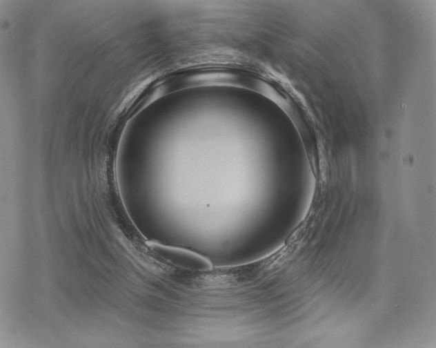 X0000071960154200607071501