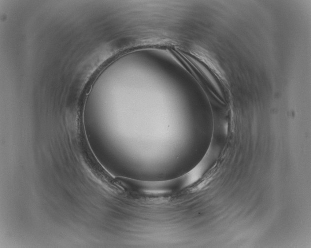 X0000071960156200607071501