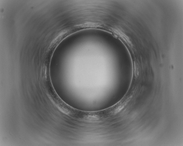 X0000071960157200607071501