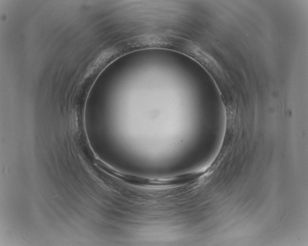 X0000071960158200607071501