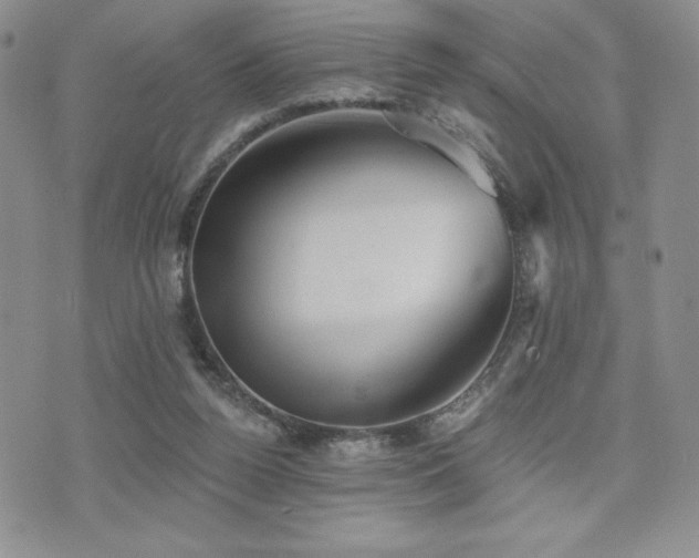 X0000071960160200607071501