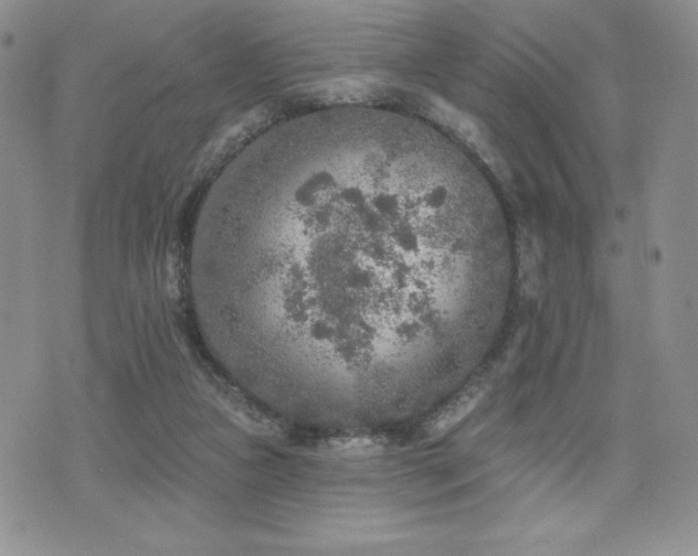 X0000071960161200607071501