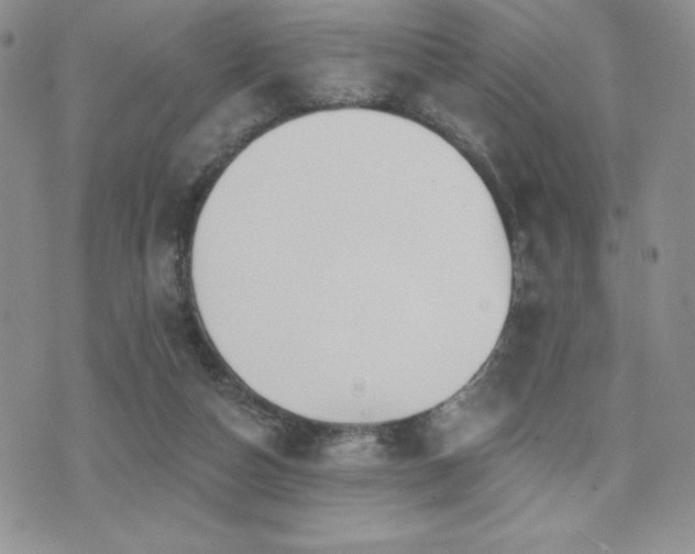 X0000071960162200607071501