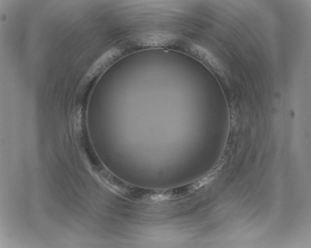 X0000071960163200607071501