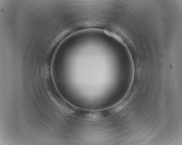 X0000071960164200607071501