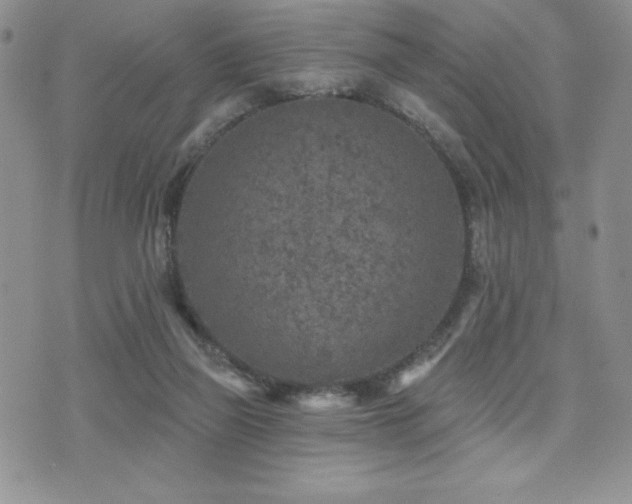 X0000071960165200607071501