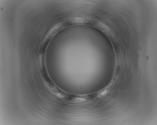 X0000071960167200607071501