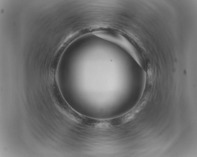 X0000071960168200607071501