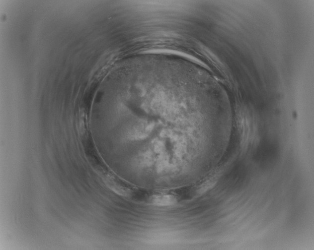 X0000071960169200607071501