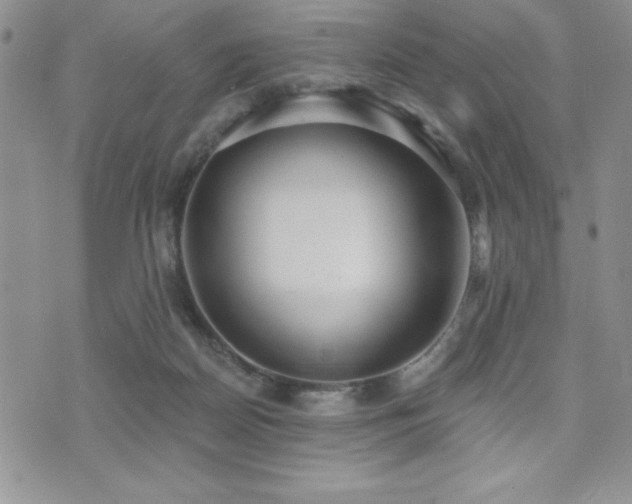 X0000071960170200607071501