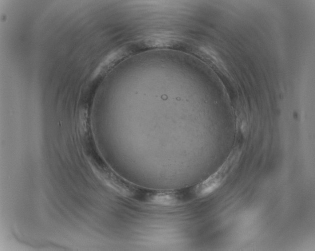 X0000071960171200607071502