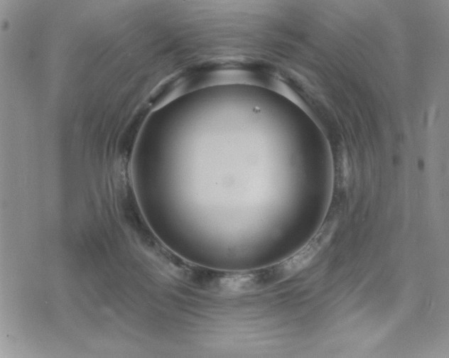 X0000071960172200607071502